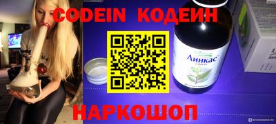 apvp Кунгур