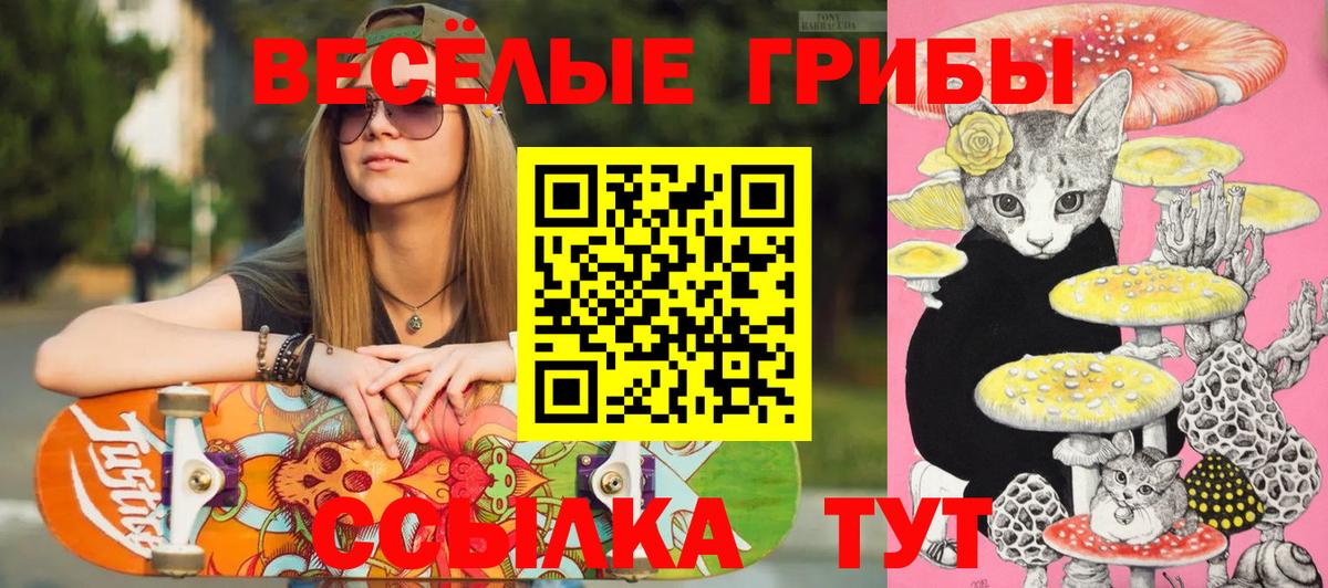 Выборг  Псилоцибиновые грибы Psilocybine cubensis  Вход с VPN  Псилоцибиновые грибы мухоморы 